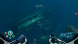 Игра Subnautica: Below Zero [PS5, русские субтитры] в Вологде