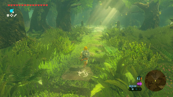 Игра The Legend of Zelda: Breath of the Wild [Nintendo Switch 2, русская версия] в Вологде