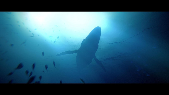 Игра Under The Waves [PS4, русские субтитры] в Вологде