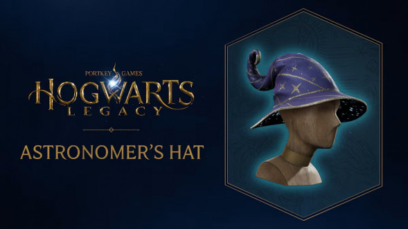 Игра Hogwarts Legacy. Exclusive DLC Astronomers Hat [PS5, русские субтитры] в Вологде
