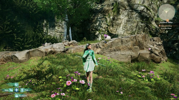 Игра Sword and Fairy: Together Forever [PS4, английская версия] в Вологде